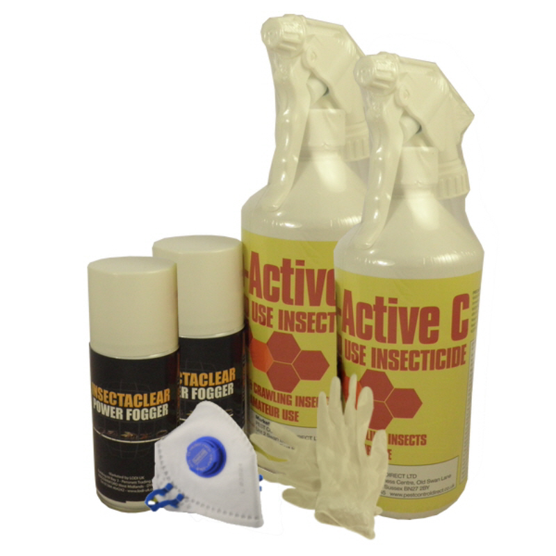 Case Bearing Carpet Moth Pack 1  