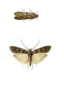 Things you should note