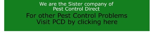PCD2